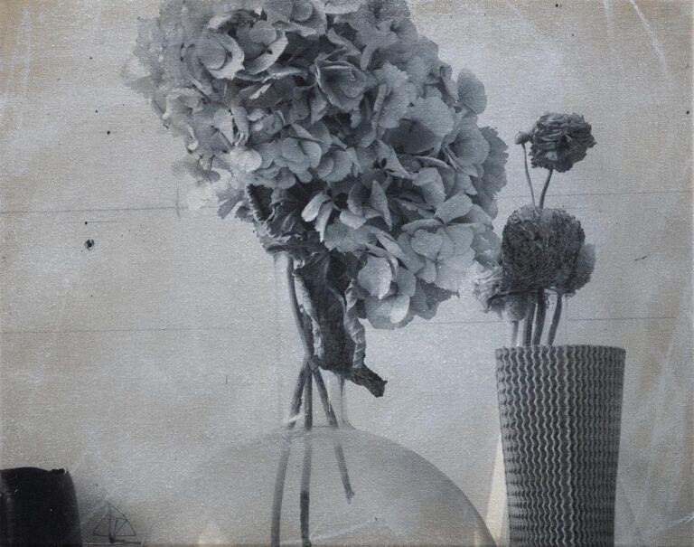 Hortensie im Glas - Maurice Ducret 
