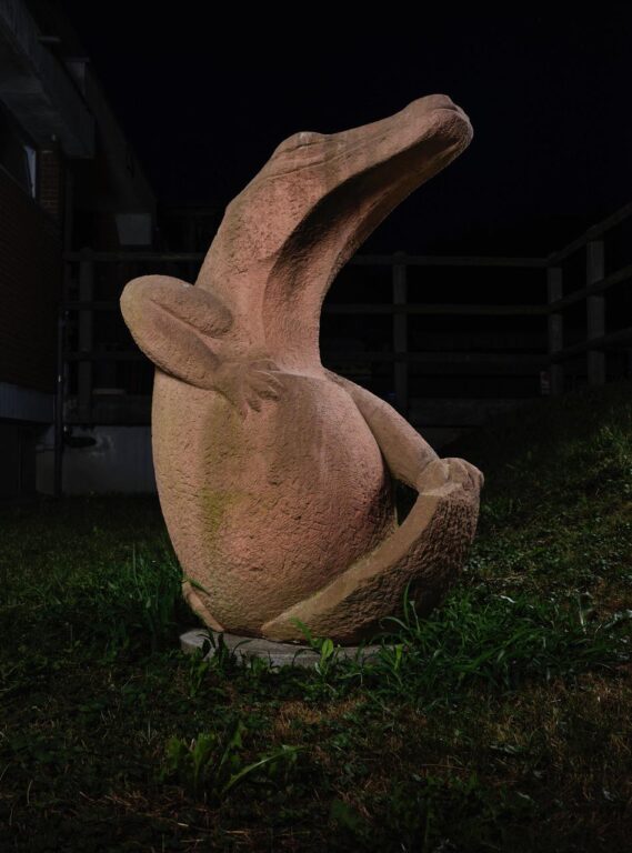 Schlüpfendes Krokodil (Tierspital, Zürich) - Johanna Bossart 