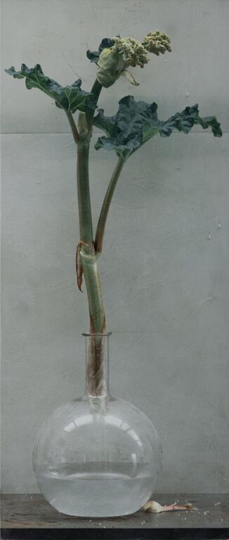 Rhabarberblüte in Vase - Maurice Ducret 