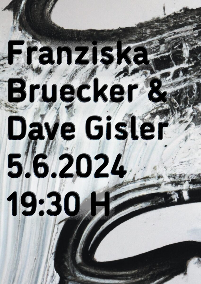 Konzert Franziska Bruecker & Dave Gisler im Rahmen von «Klingende Museen» 