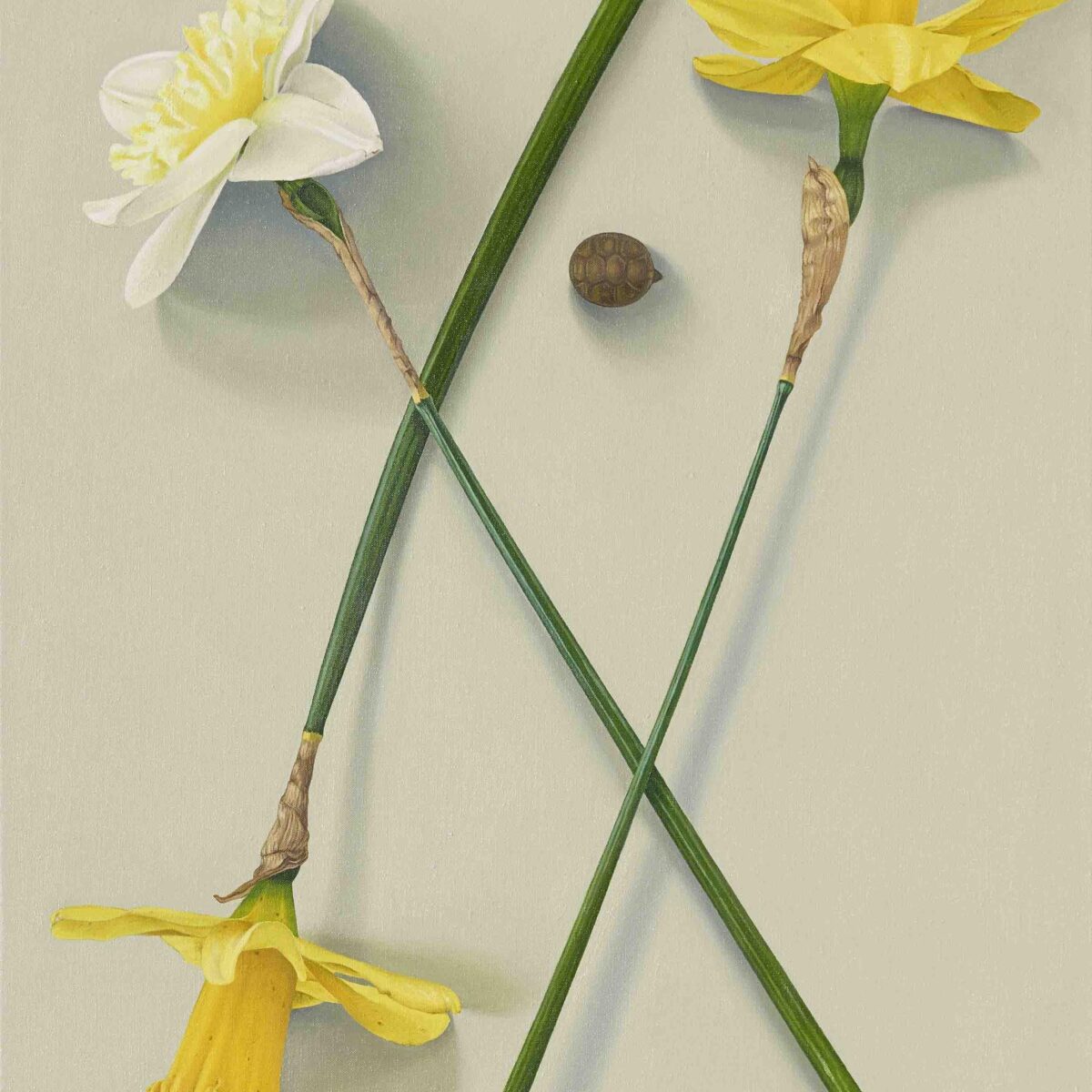 Martina von Schulthess – Die Sonnenträgerin - Martina von Schulthess 