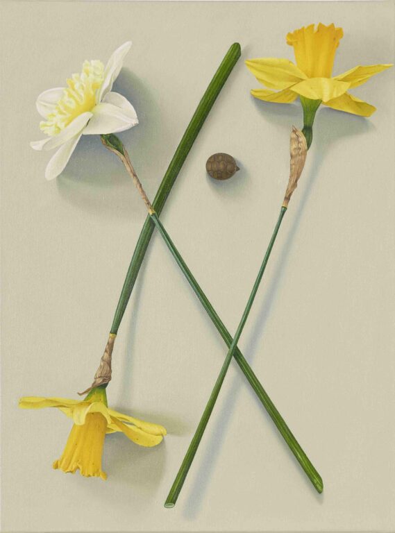 Martina von Schulthess – Die Sonnenträgerin - Martina von Schulthess 