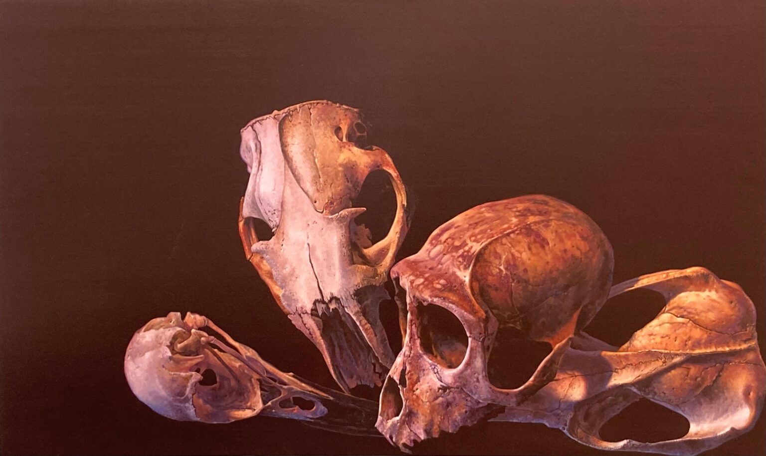 Die Holbeins - Jan Czerwinski 