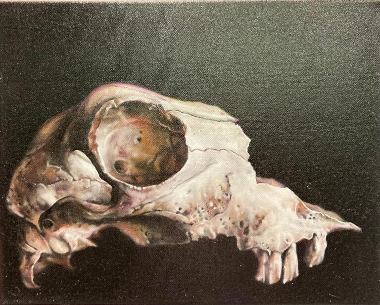 Schafschädel - Jan Czerwinski 