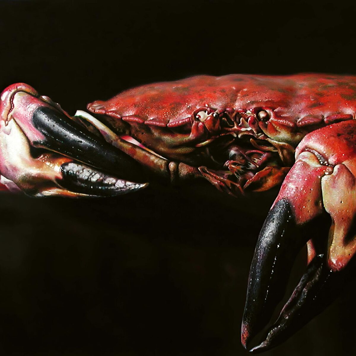 Jan Czerwinski – Holbein im Gebirge - Albert Rüegg, Jan Czerwinski, Melanie Rüegg-Leuthold 