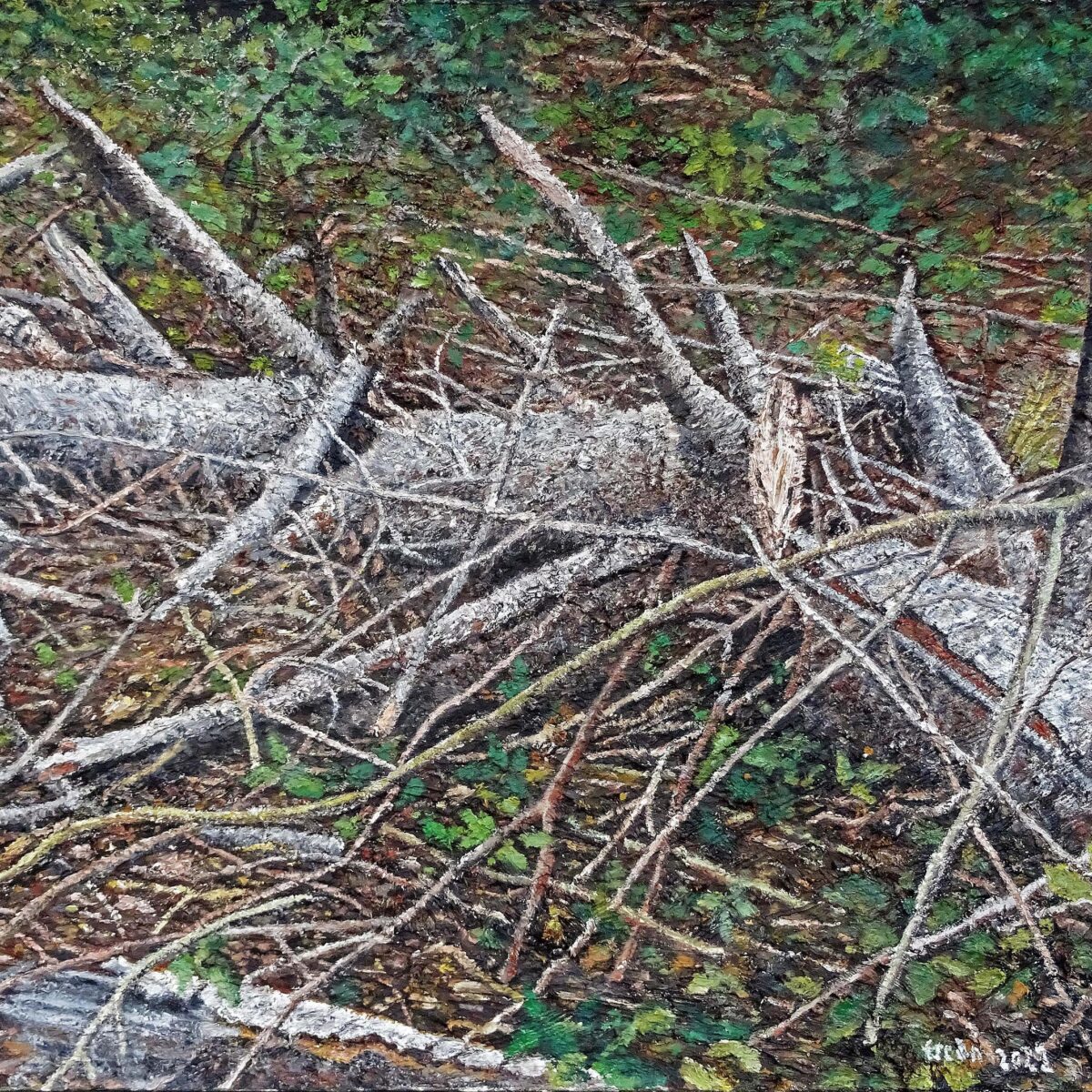 Ercan Richter – Bäume als Bäume als Menschen - Albert Rüegg, Ercan Richter, Melanie Rüegg-Leuthold 