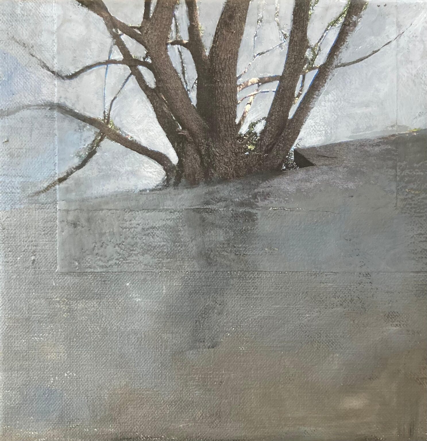 o.T. - Marion Richter 