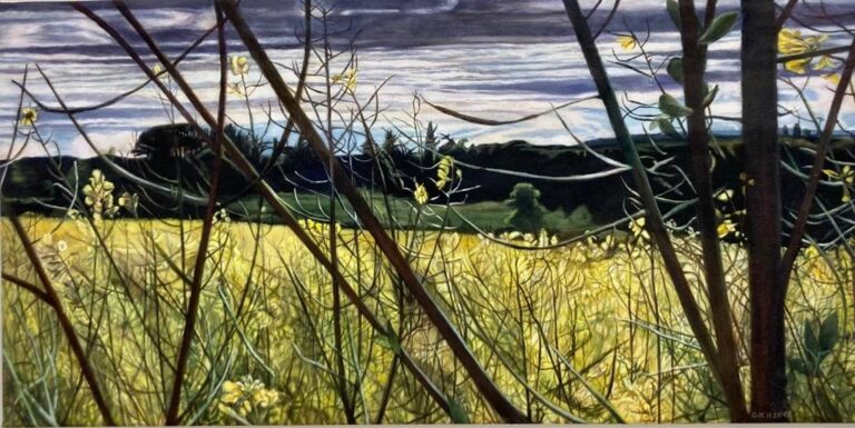 Rapsdurchblick - Christine Knuchel 