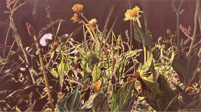 Licht auf Löwen - Christine Knuchel 