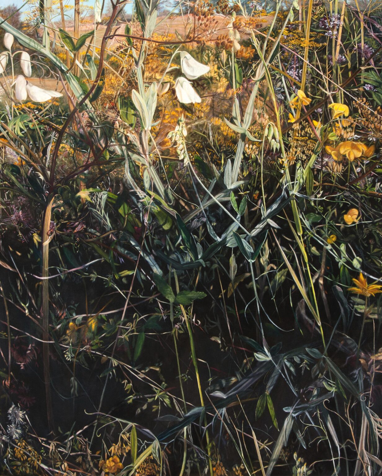 Das fünfte grosse Wiesenstück - Christine Knuchel 