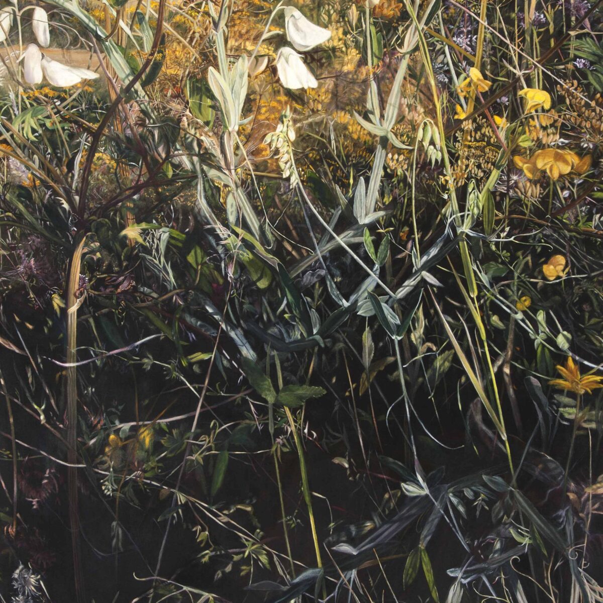 Christine Knuchel – IN ALLEN DINGEN DIE RUHE SUCHEN - Christine Knuchel 