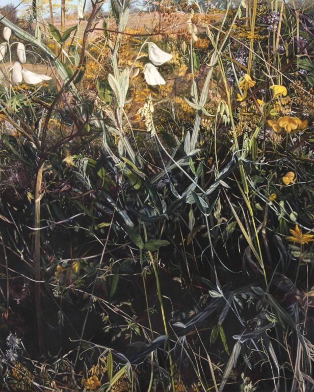 Christine Knuchel – IN ALLEN DINGEN DIE RUHE SUCHEN - Christine Knuchel 