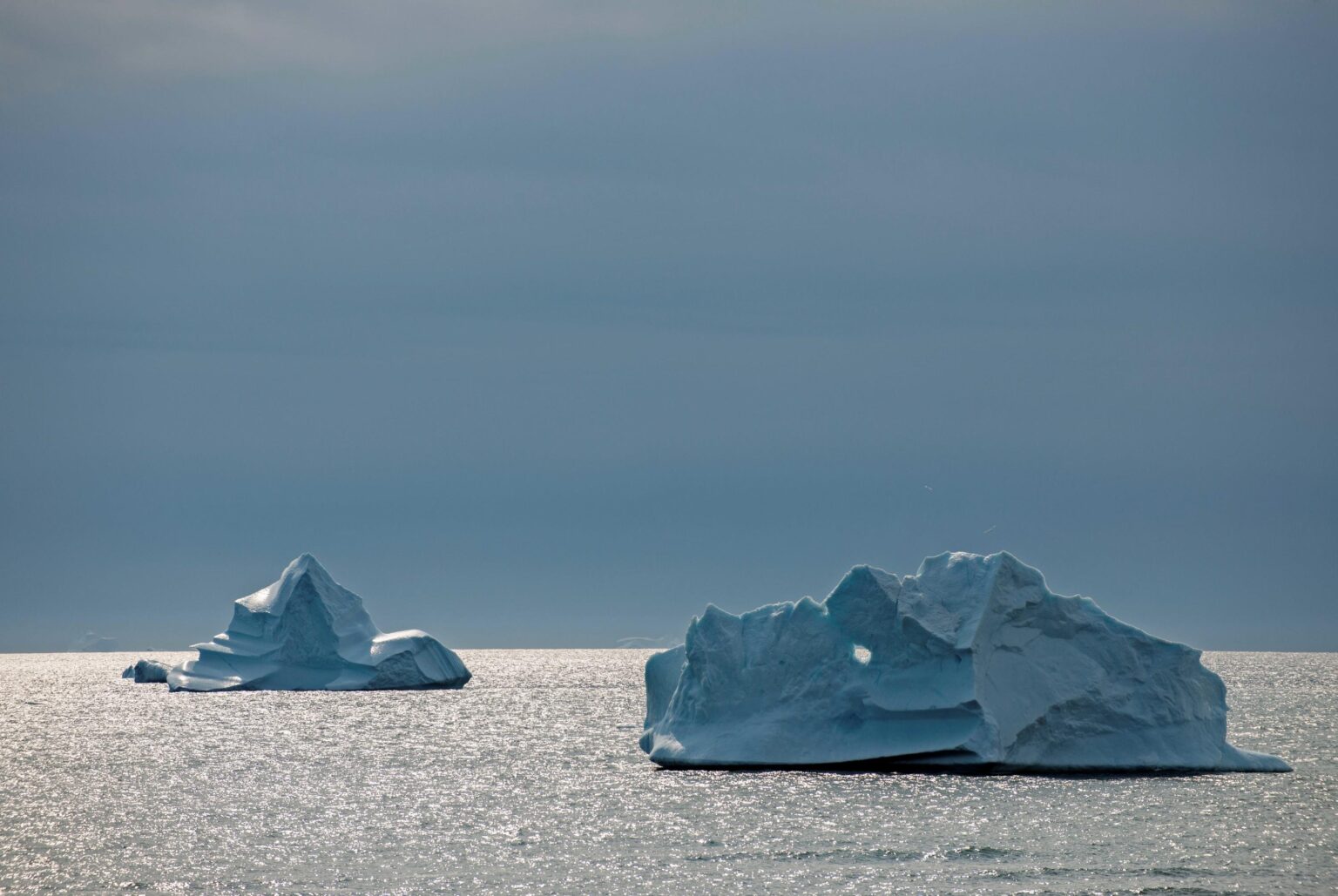 Nukariit / Brüder - Françoise Funk-Salamí 