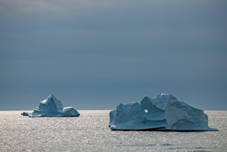 Nukariit / Brüder - Françoise Funk-Salamí 