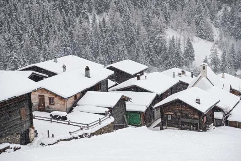 Fäld / Imfeld - Françoise Funk-Salamí 
