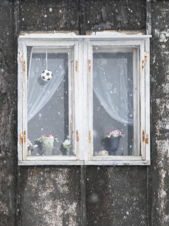 Aput ruusallu / Schnee und Rosen - Françoise Funk-Salamí 