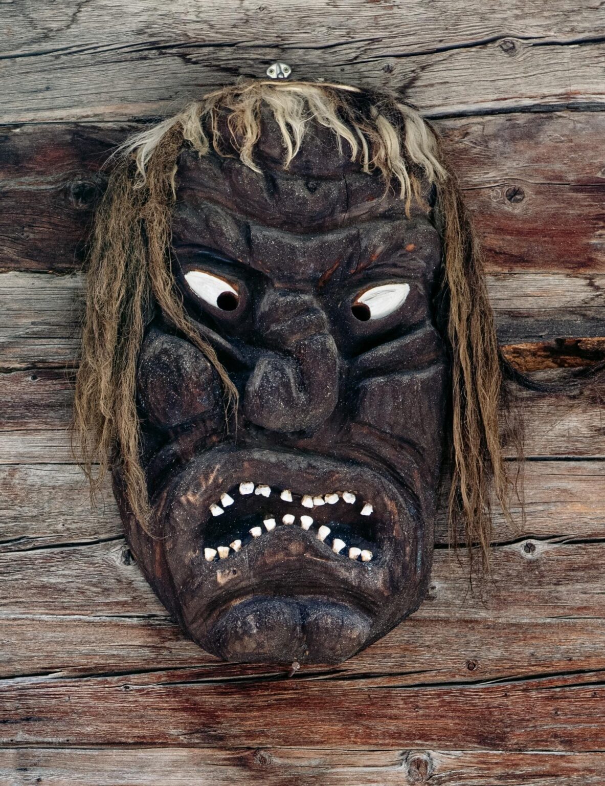 Larva /Maske - Françoise Funk-Salamí 