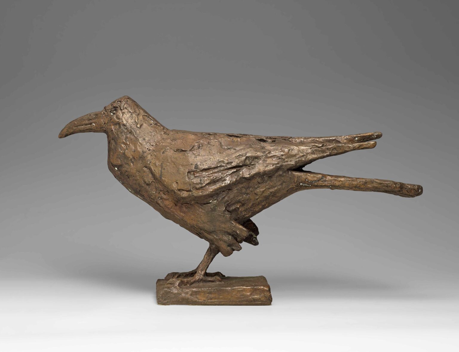 Kr&auml;he - Melanie R&uuml;egg-Leuthold teamspring import