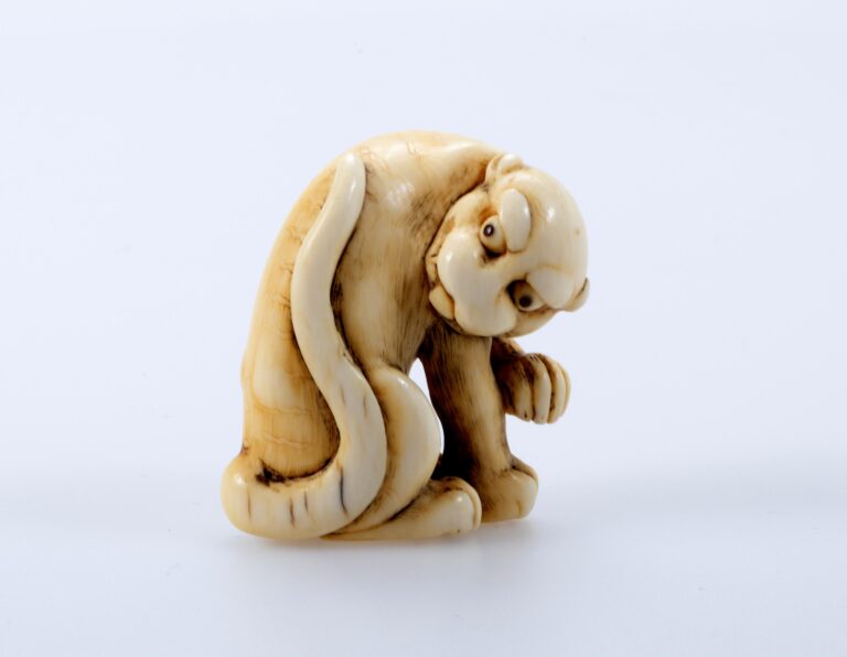 Tiger, zugeschrieben Tomotada, Kyoto Schule - Netsuke 