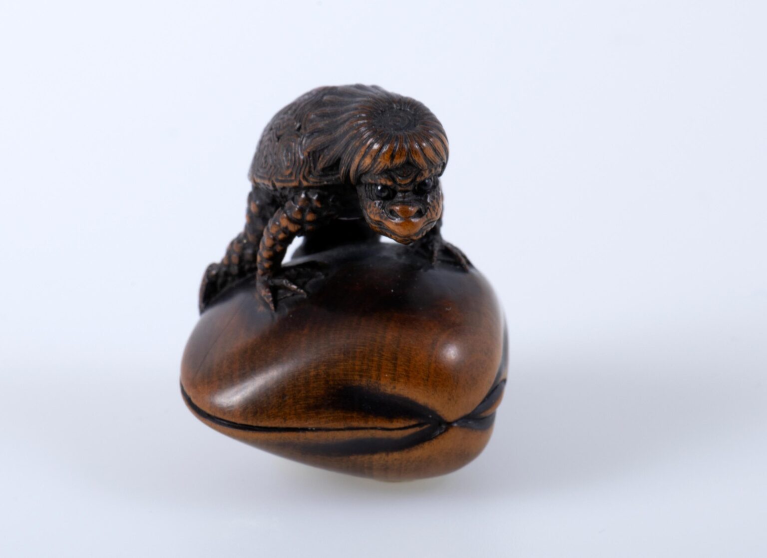 Kappa auf Muschel, signiert: Suketada - Netsuke 