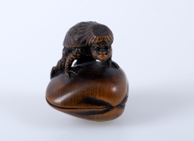 Kappa auf Muschel, signiert: Suketada - Netsuke 