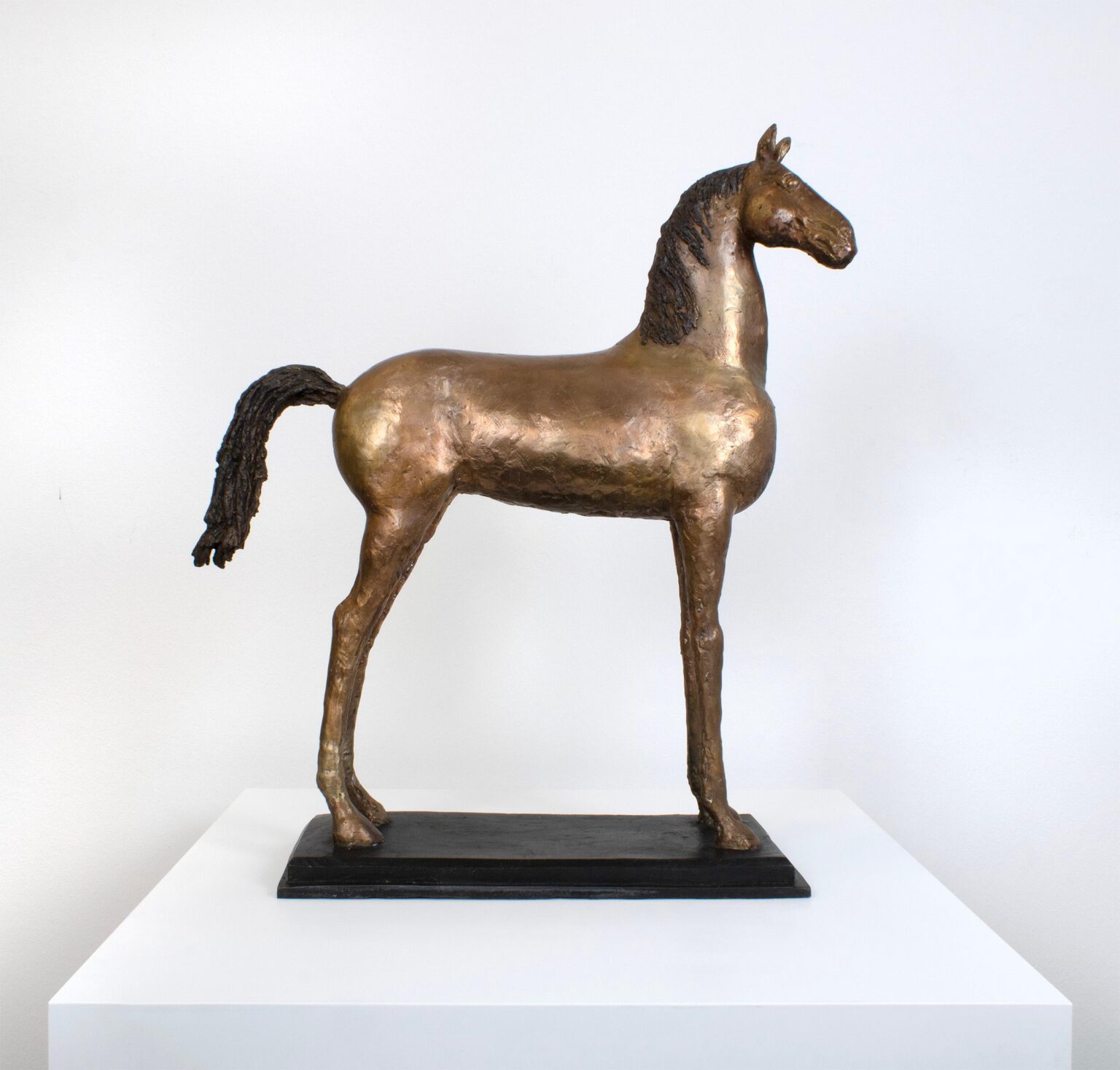 Achal-Tekkiner - Hans Scheib 