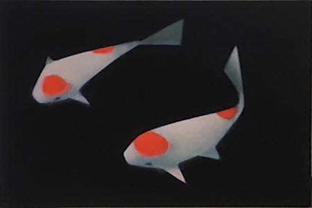 Koi – L.e. - Jörn Grothkopp 