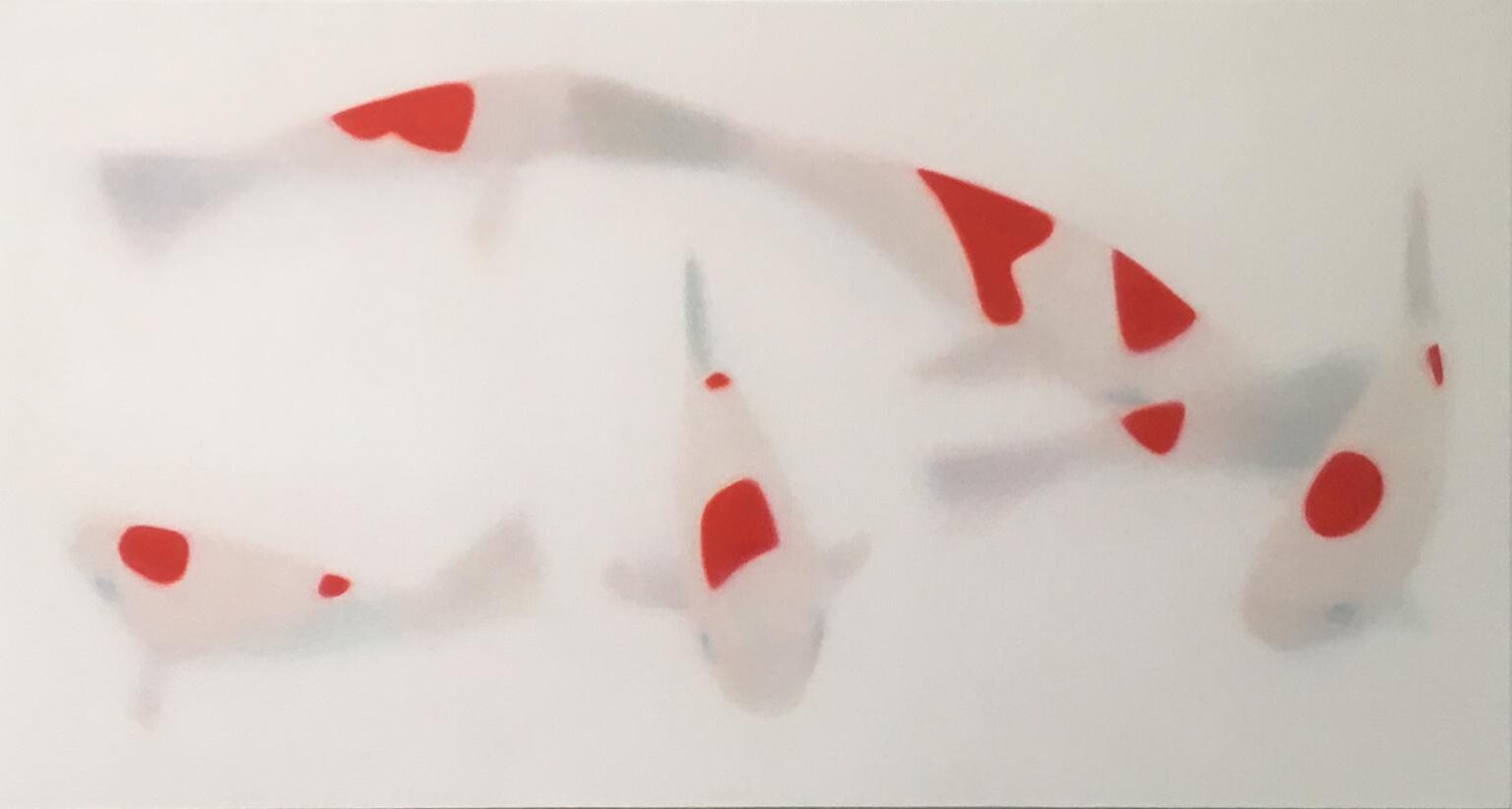 Koi – L.h. - Jörn Grothkopp 