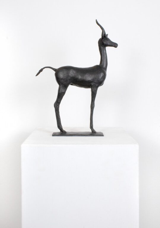 Gazelle - Hans Scheib 