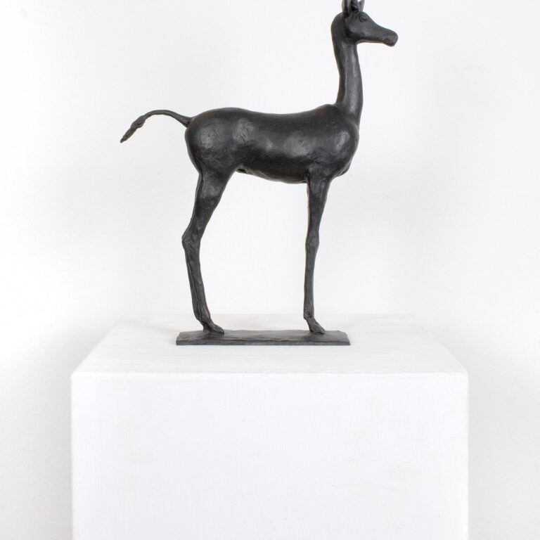 Gazelle 