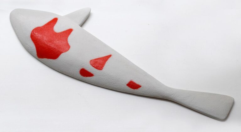 Koi – Mota 3 - Jörn Grothkopp 