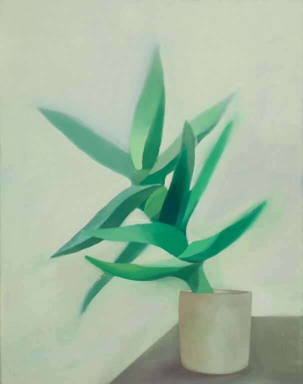 Aloe Vera - Eleonora Nanu 