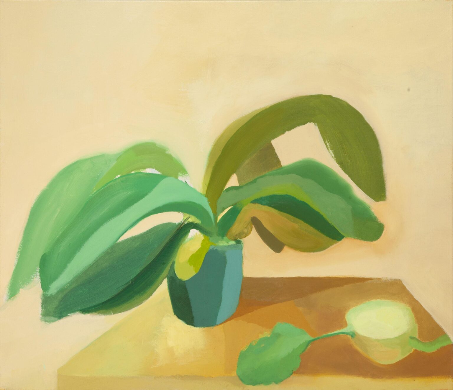 Orchidea e Kohlrabi - Eleonora Nanu 