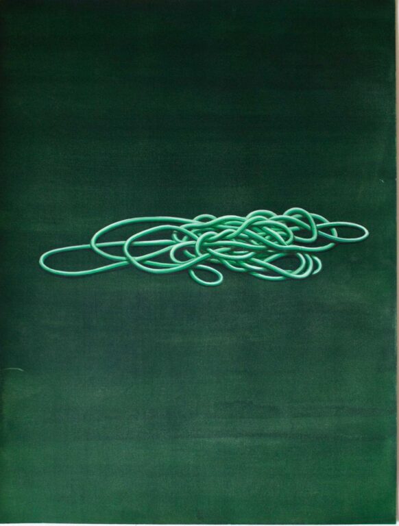 Hose Pipe III - Elizabeth Charnock 