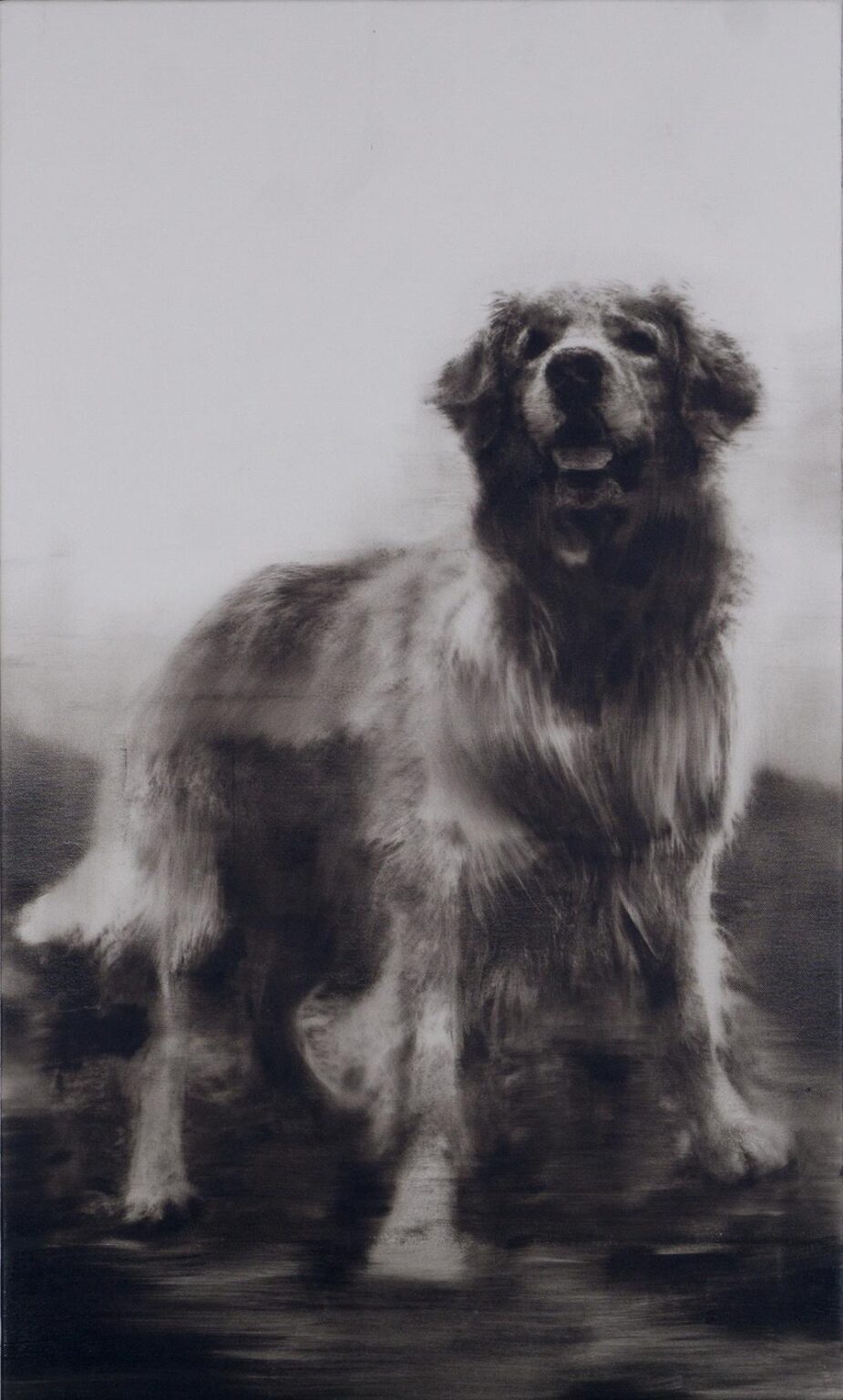 Gustav (2522) - Martin Paul M&uuml;ller 