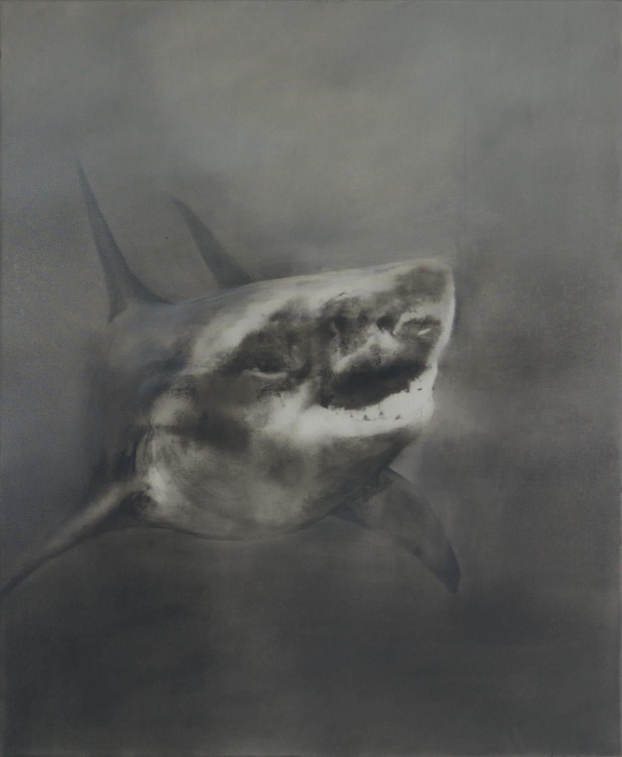 Haifisch (2516) - Martin Paul M&uuml;ller 