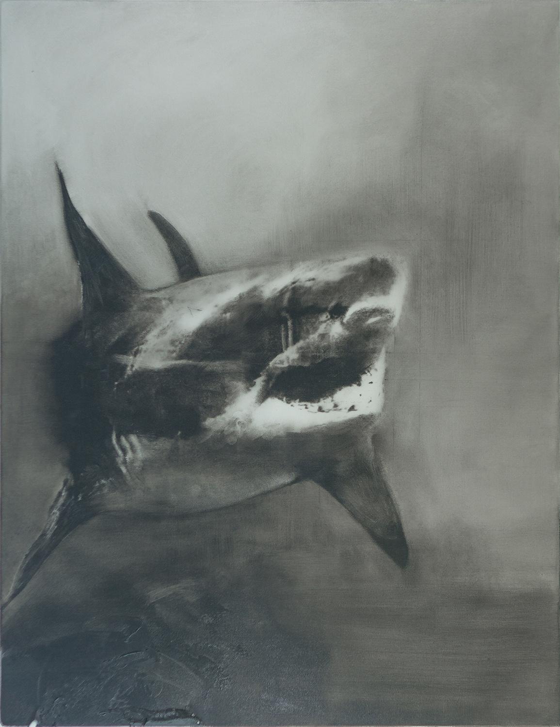 Haifisch (2512) - Martin Paul M&uuml;ller 