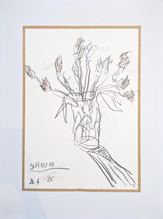 28.5.25 - Hans Scheib 