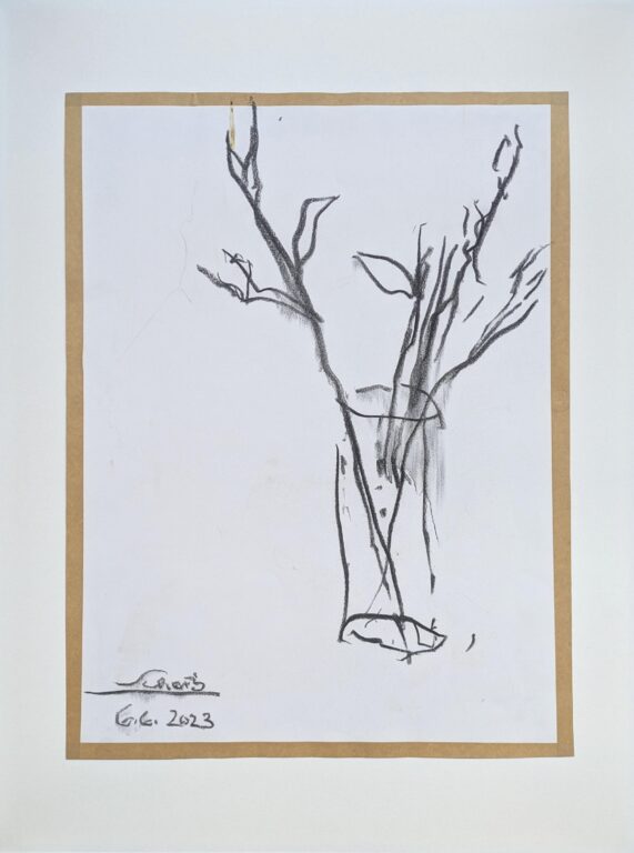 6.6.2023 - Hans Scheib 