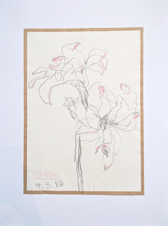 4.3.25 - Hans Scheib 