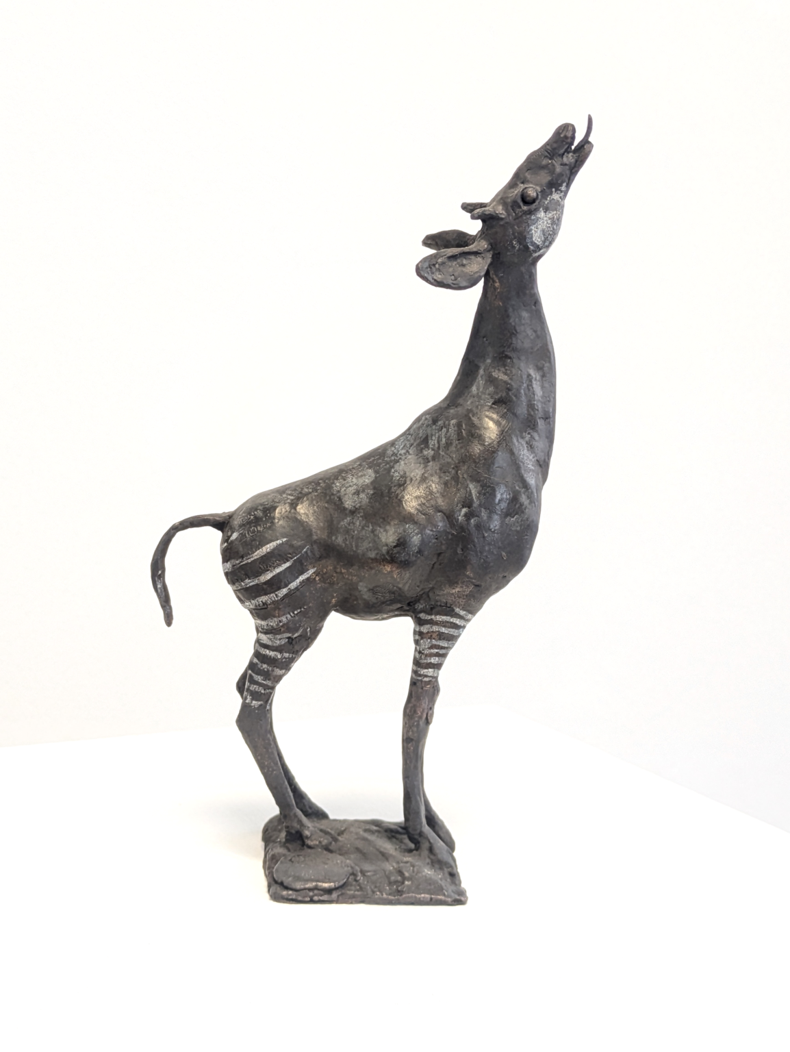 Okapi - Hans Scheib 