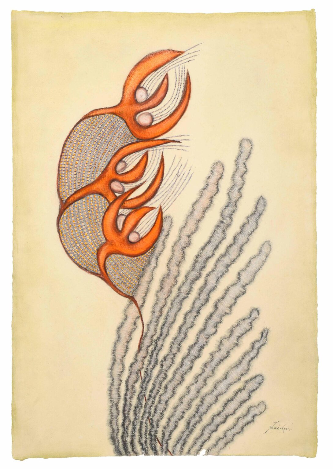 untitled (coral flowers) - Anna Zem&aacute;nkov&aacute; 