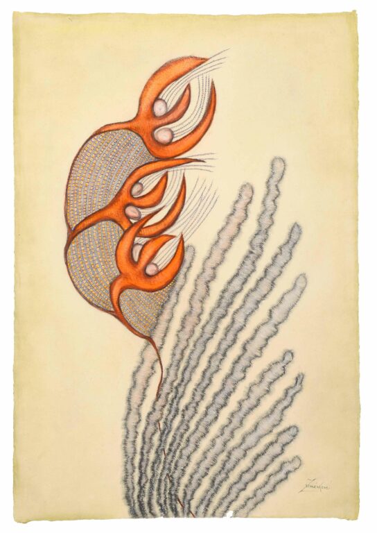 untitled (coral flowers) 