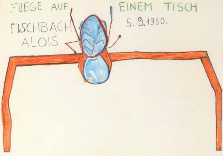 ohne Titel (Fliege auf einem Tisch) - Alois Fischbach 