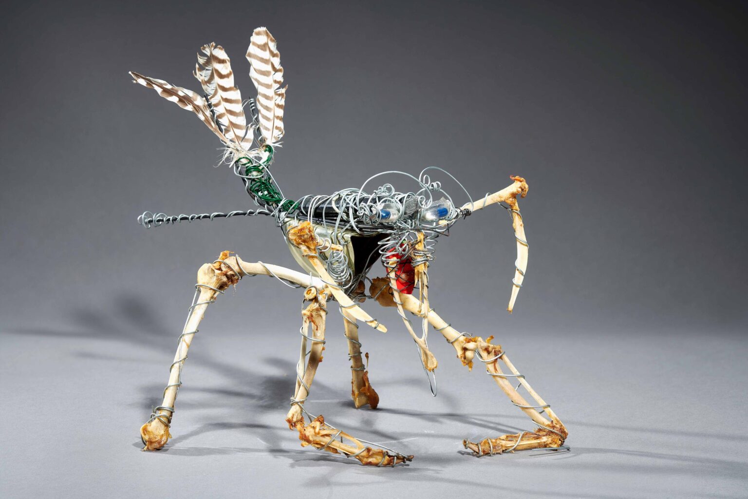 untitled (fly) - Markus Meurer 