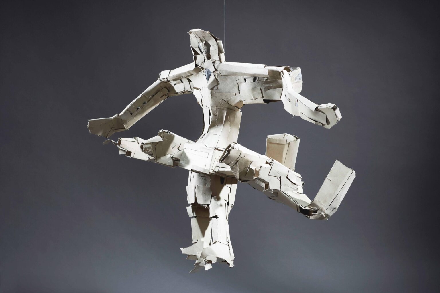 Roboter Flugzeug - Hans-J&ouml;rg Georgi 