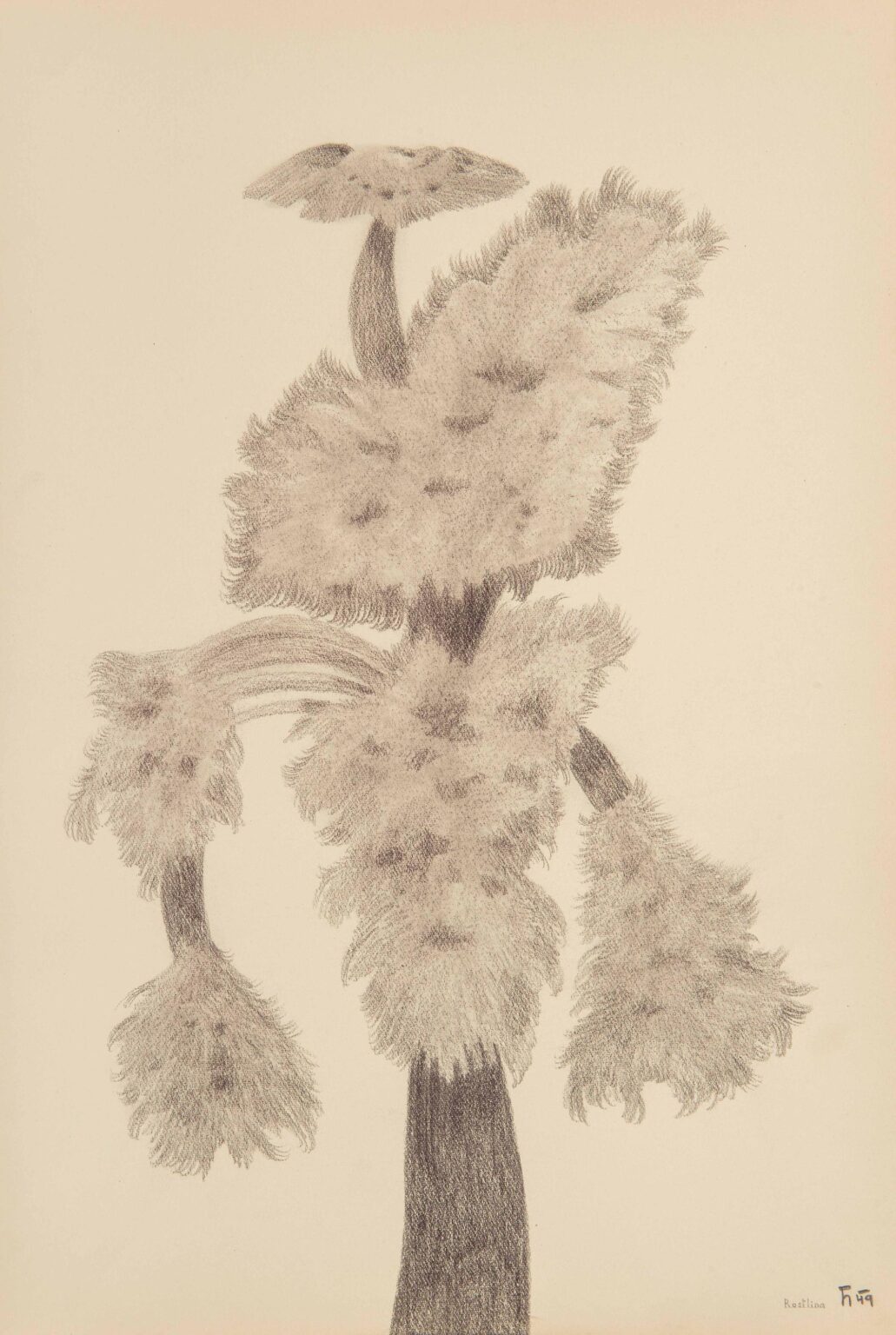 Plant - Karel Havlicek 