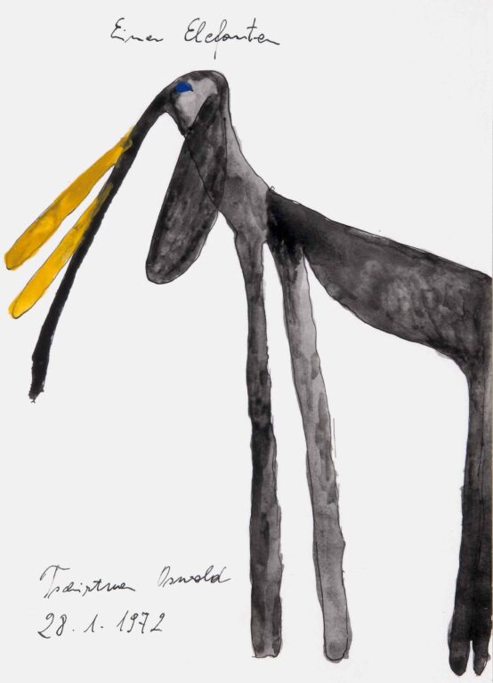 An Elephant 
