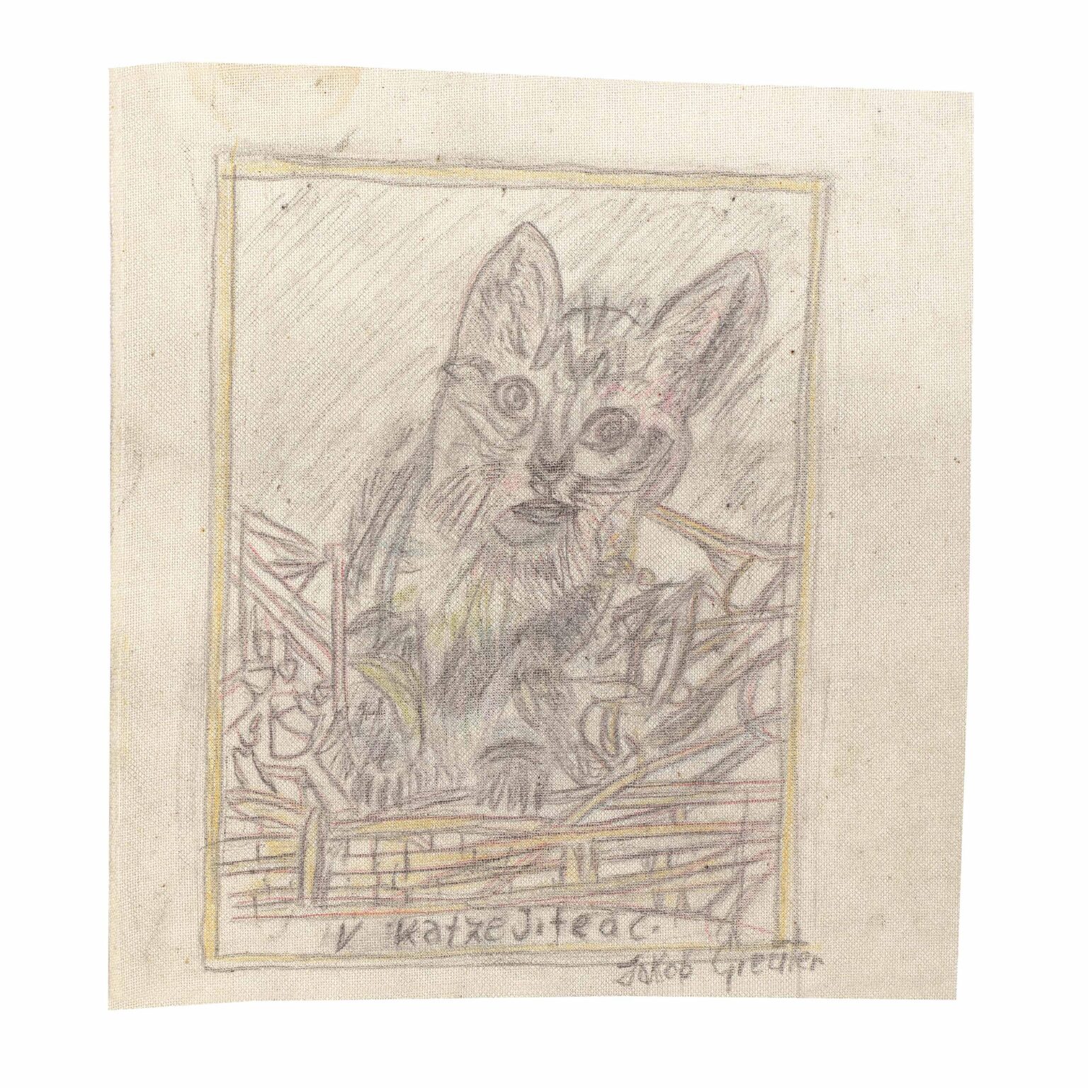 ohne Titel  (Katze ) - Jakob Greuter 