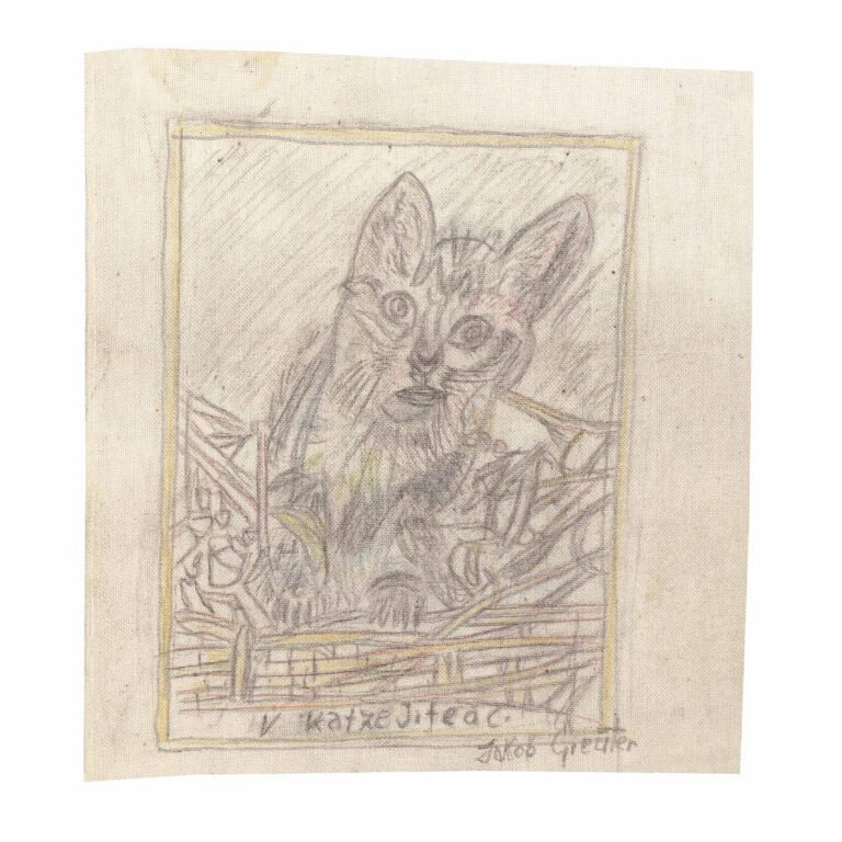untitled  (cat) - Jakob Greuter 